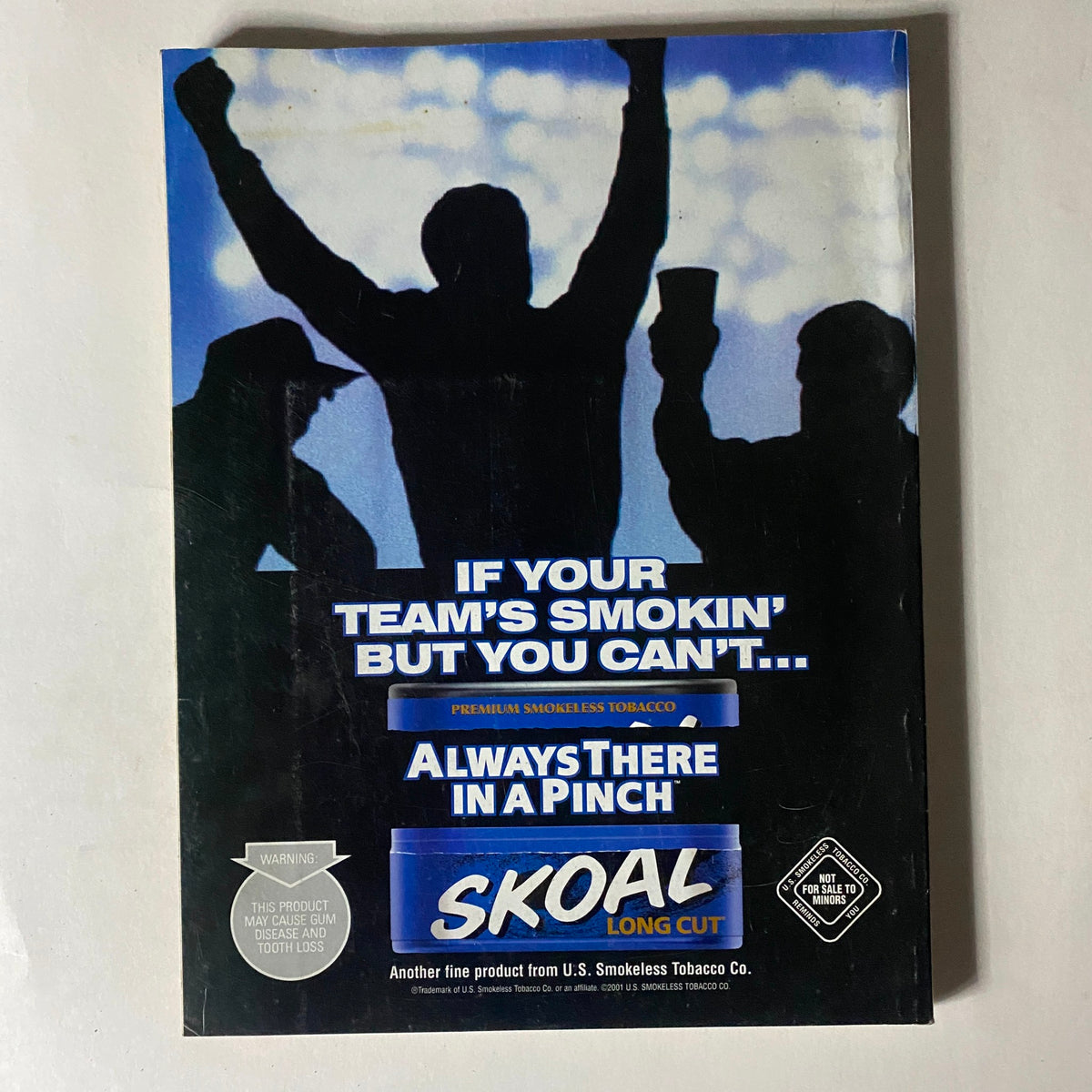 Back cover of Easyriders Magazine May 2001 #335 promoting Skoal long cut tobacco, emphasizing a lifestyle choice with a silhouette of cheering figures.