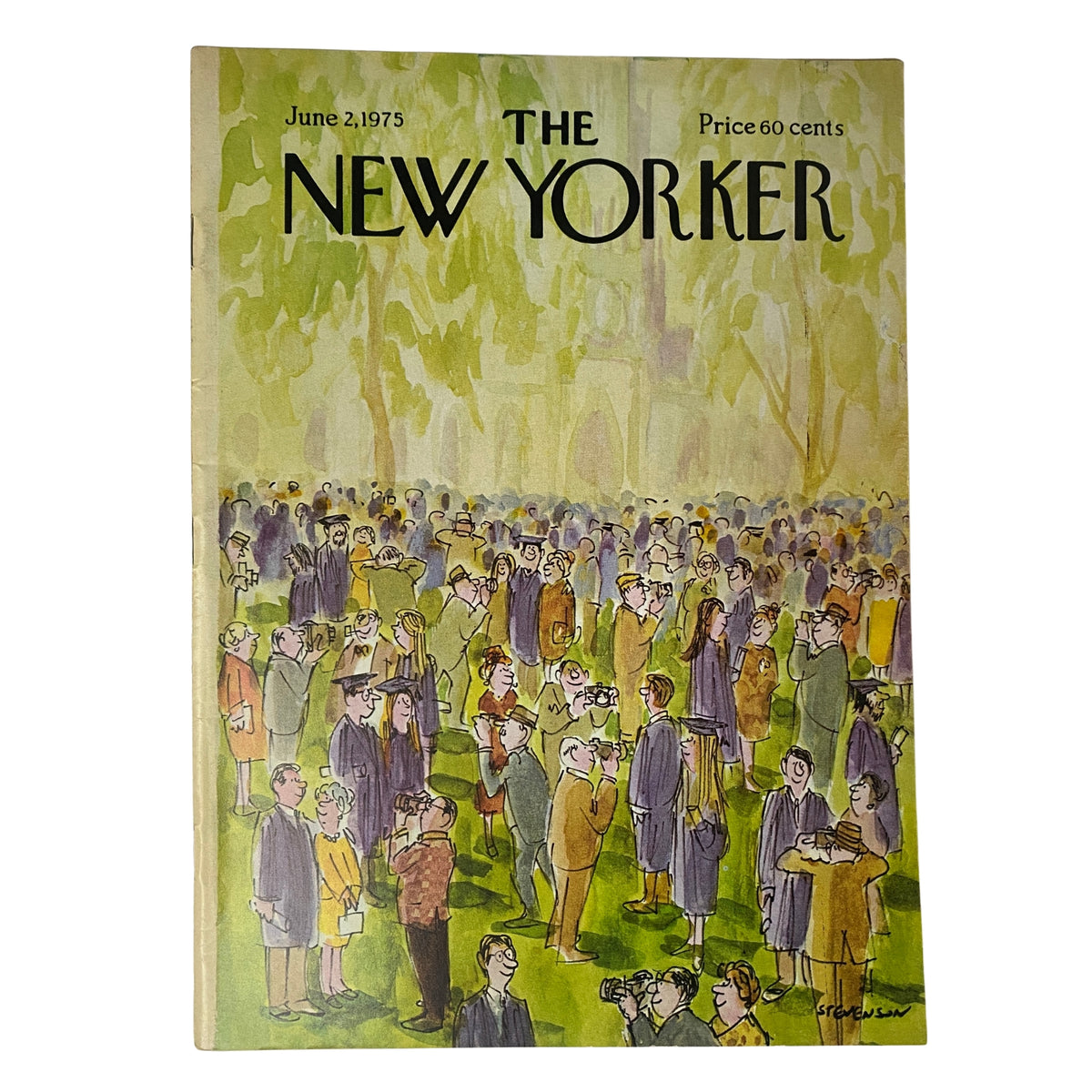 The New Yorker Full Magazine June 2, 1975 James Stevenson Cover showcasing a vibrant illustration of a crowd in a park.