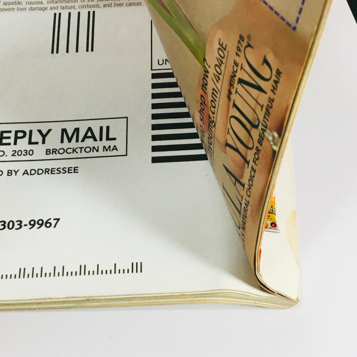 Back cover of Ladies' Home Journal Magazine February 2004, displaying its original mailing label area and vintage magazine design.