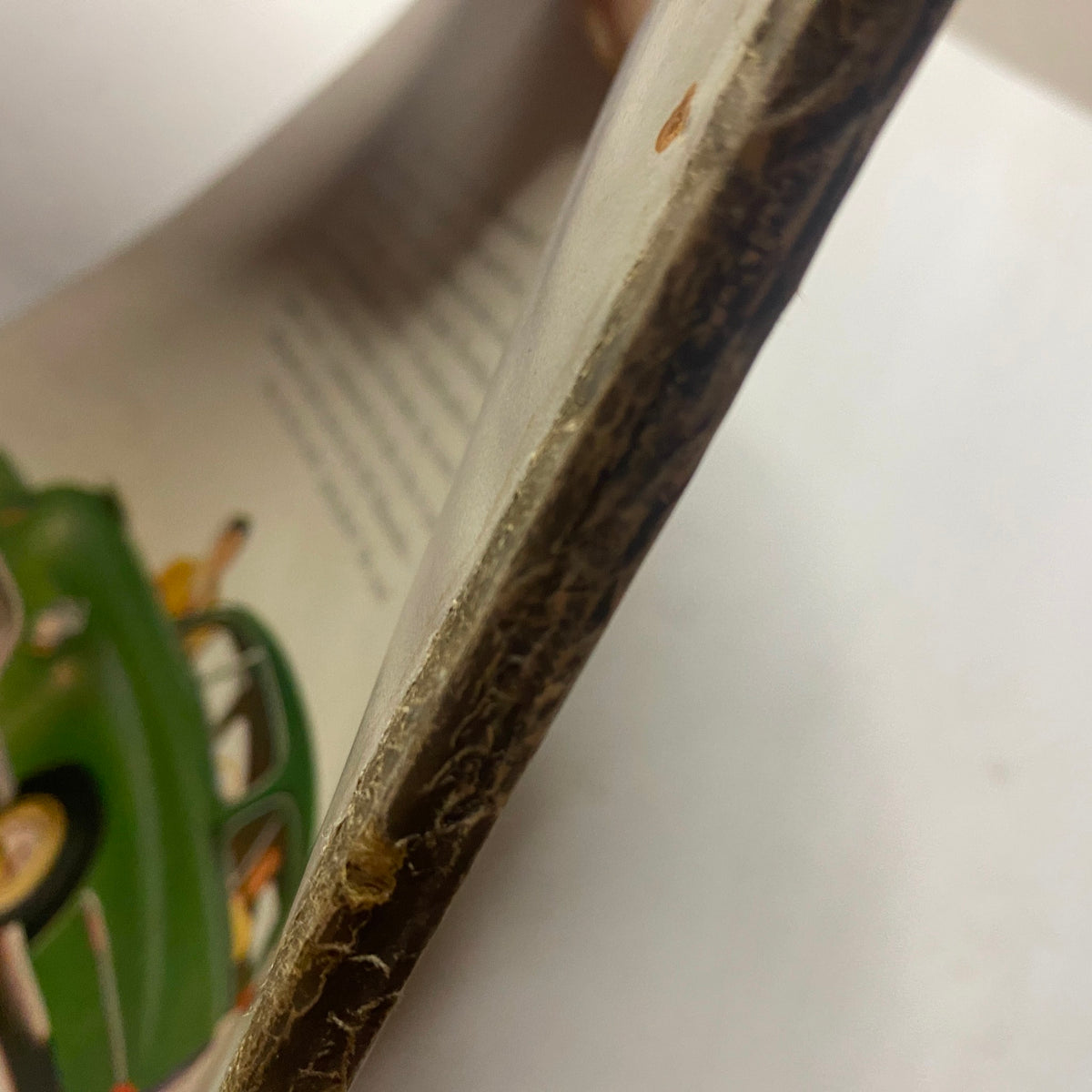 Vogue Magazine June 1, 1947 Kay Hernan Cover by John Rawlings highlighting the detailed spine of the magazine, showcasing its aged condition and vintage significance.