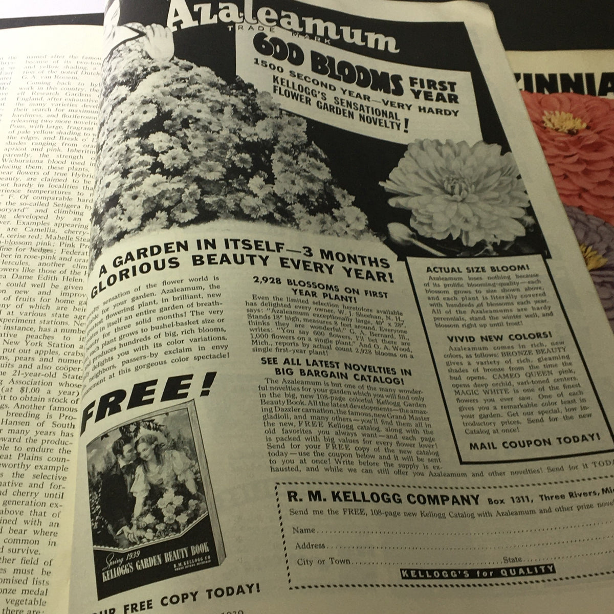 Advertisement for Kellogg's Azalea plant featuring 600 blooms, showcasing a lush garden, as seen in VTG The American Home for 1939 Vol XXL #2 The Remodeling of Rural Hill.