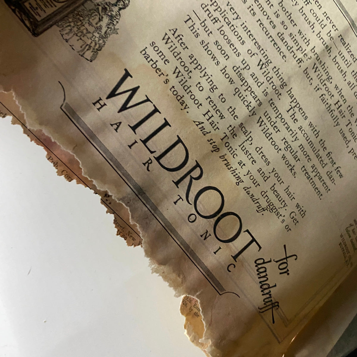 Wildroot Hair Tonic advertisement from The New Yorker Complete Magazine November 20, 1926, displaying vintage styling and promotional text.