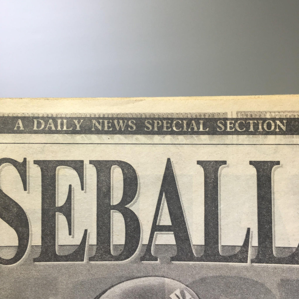 Header of New York Daily News indicating it's a daily news special section.