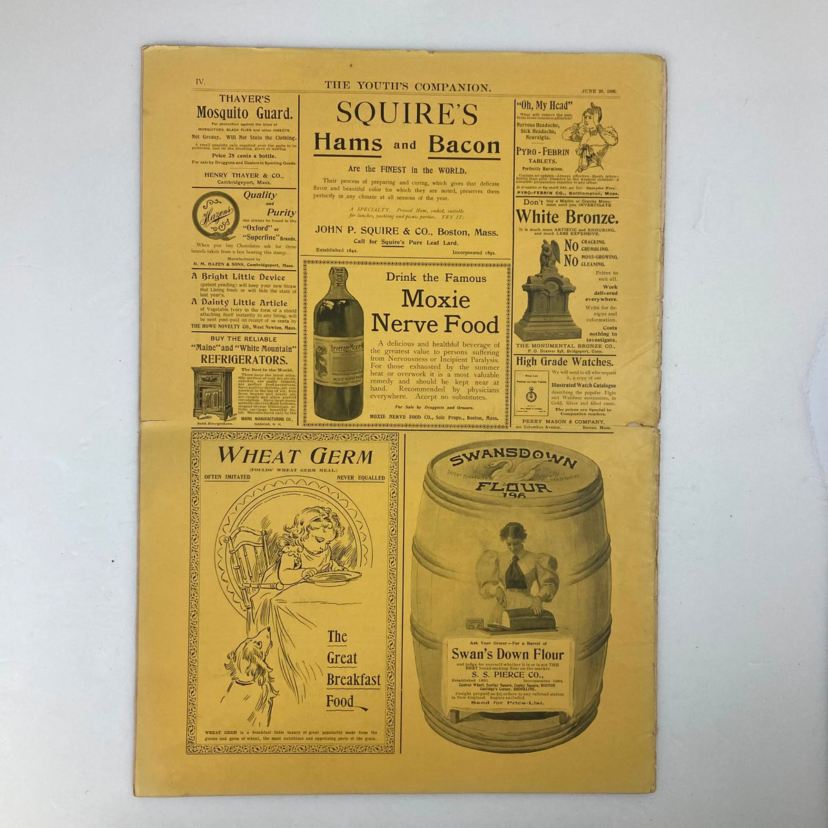 Back cover of The Youth's Companion Magazine, June 20, 1895, featuring advertisements for Squire's Hams and Bacon and other products, reflecting the marketing style of the era.