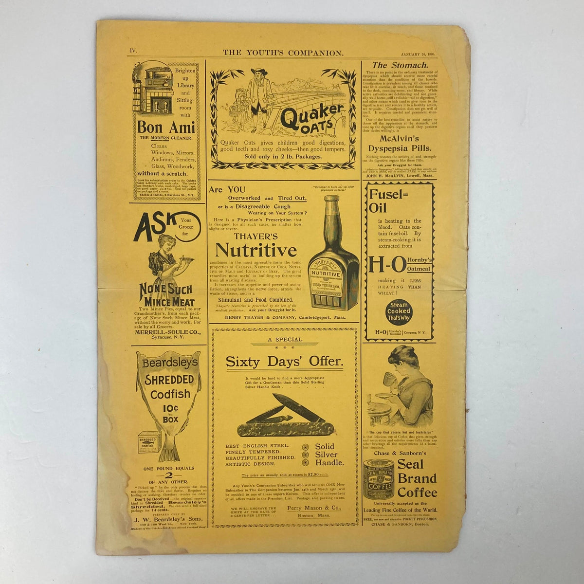 Back cover of VTG The Youth's Companion Magazine January 24 1895, highlighting advertisements from the late 19th century, reflecting consumer culture of the era.
