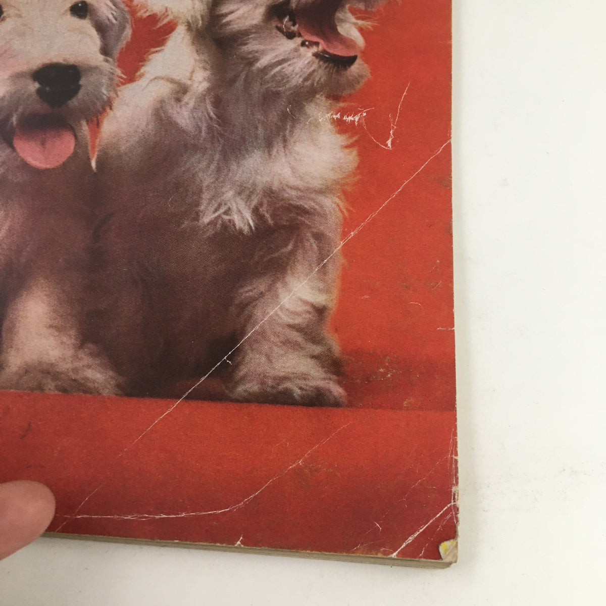 Front cover of Woman's Day Magazine August 1947 featuring playful dogs against a vibrant background. The magazine includes the article 'The Hollywood Picture' by Sallie Cox, suitable for vintage enthusiasts and collectors.