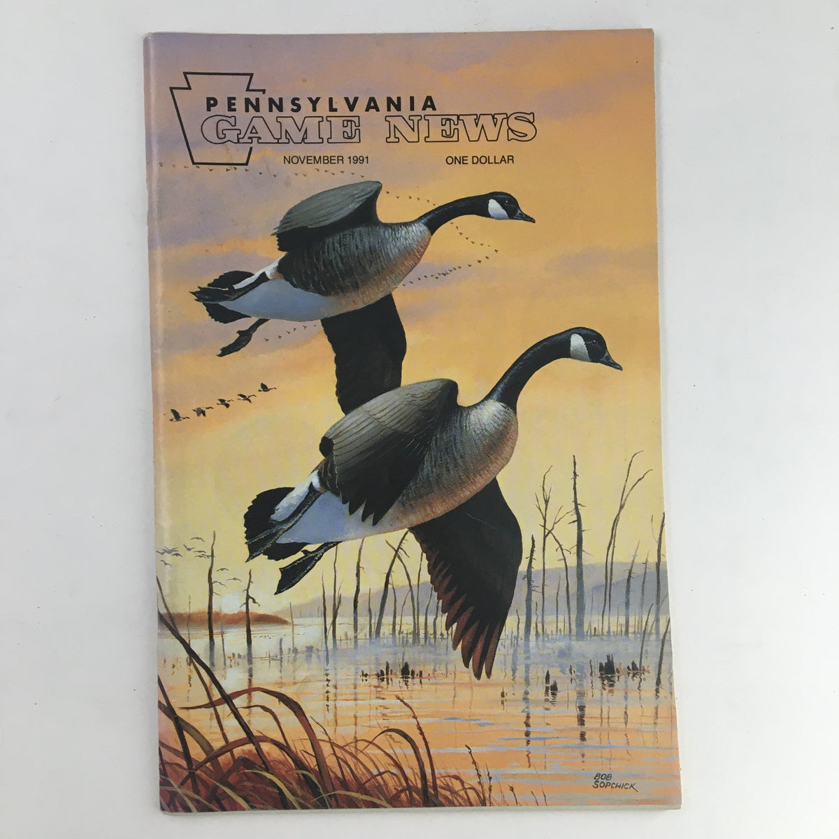 Cover of Pennsylvania Game News November 1991 featuring flying geese against a sunset backdrop, highlighting the theme of hunting and wildlife.