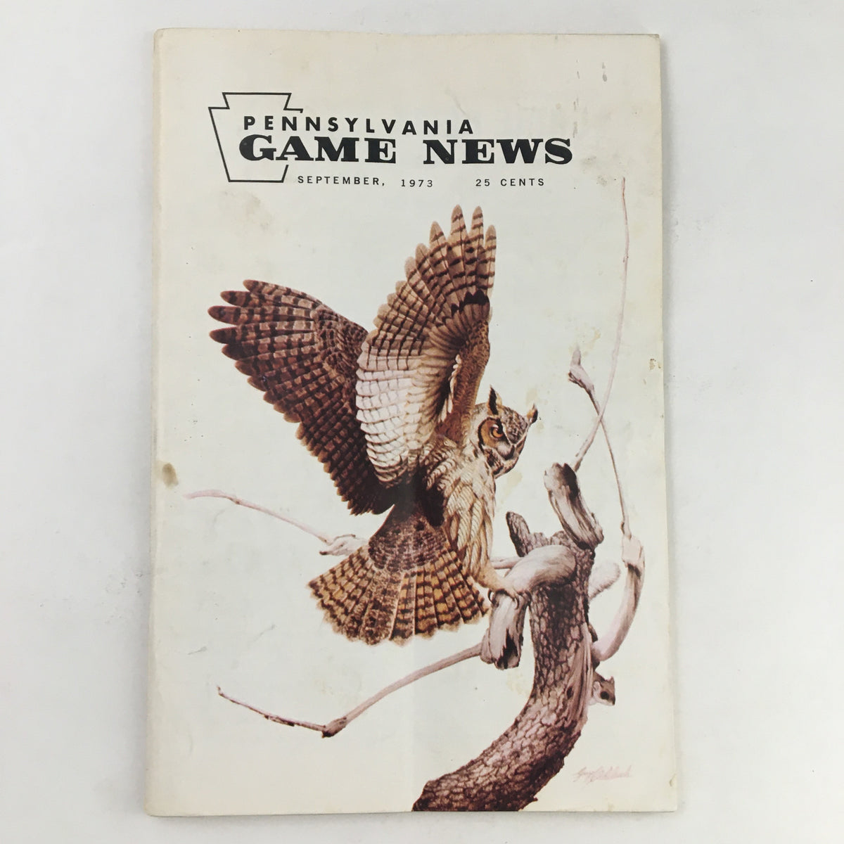 Cover of Pennsylvania Game News September 1973 featuring an artistic depiction of an owl, showcasing vintage wildlife magazine design.