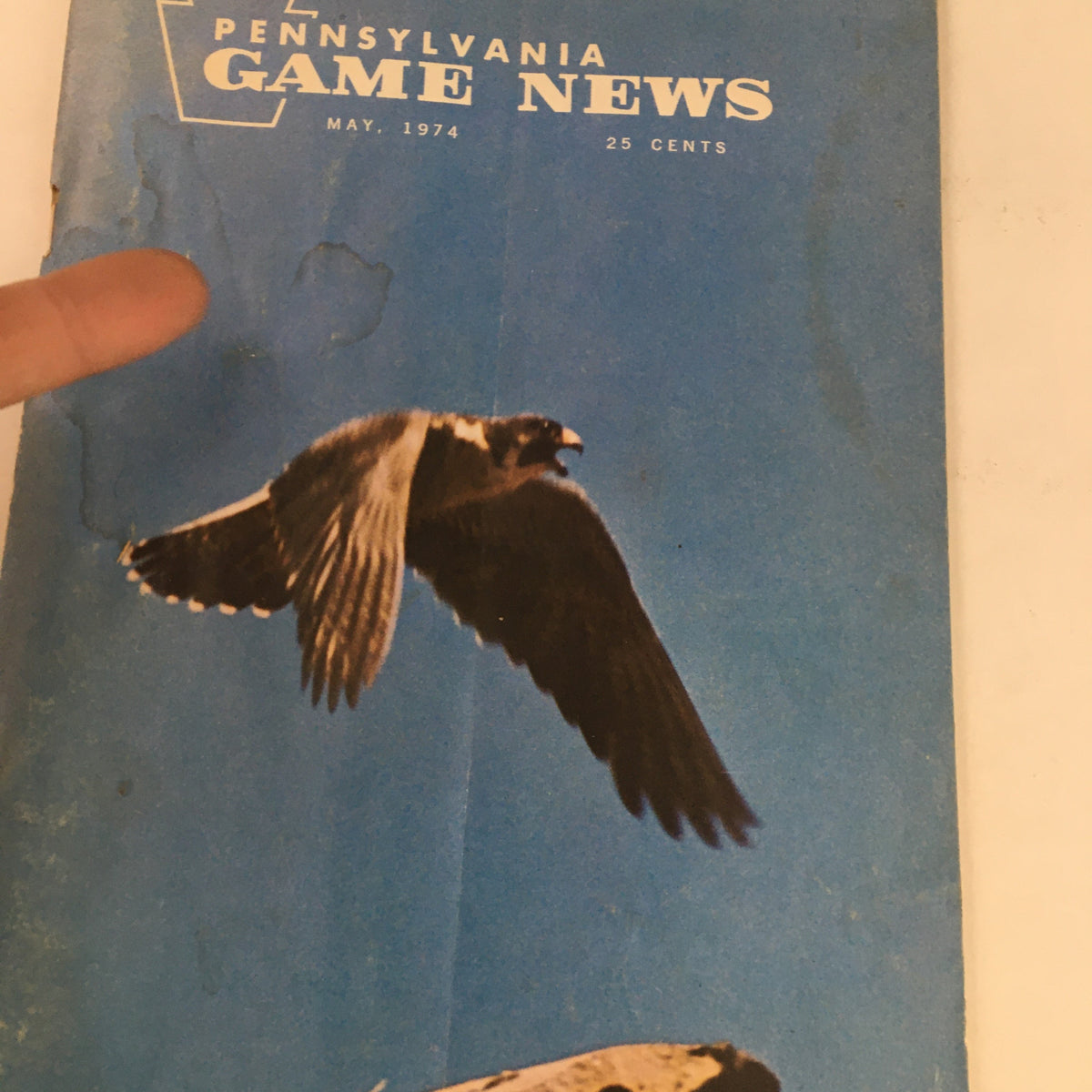 Close-up of Pennsylvania Game News May 1974 cover highlighting 'The Purple Martin-Insecticide on Wings' with a bird flying, showcasing vintage magazine design.