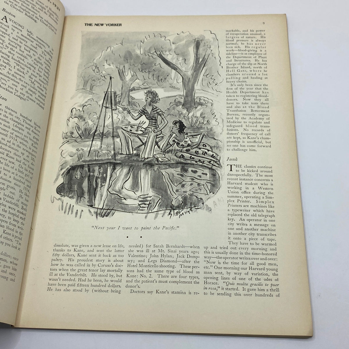 Cartoon illustration from The New Yorker Complete Magazine July 25, 1931 Gardner Rea Cover, depicting two characters by a lake discussing art in a humorous style.