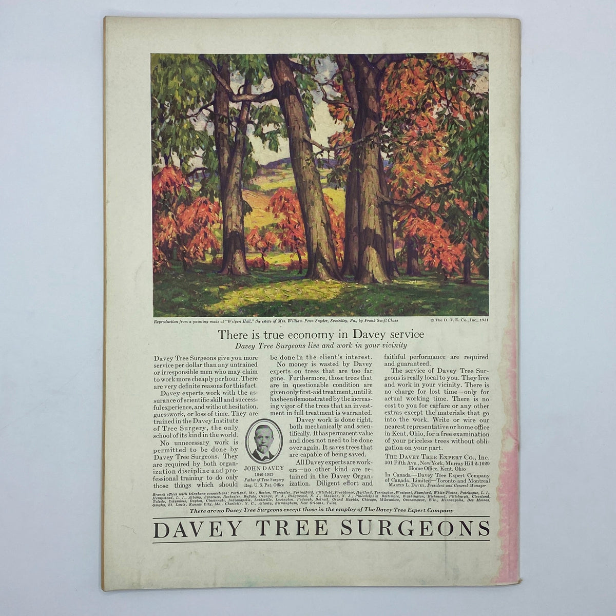 Back cover page of The New Yorker magazine from July 11, 1931, featuring an advertisement for Davey Tree Surgeons with a scenic autumn illustration.