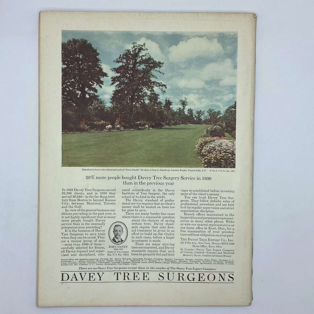 The New Yorker May 2, 1931 Davey Tree Surgeons advertisement showcasing a vibrant garden landscape, highlighting tree surgery services and professional care.