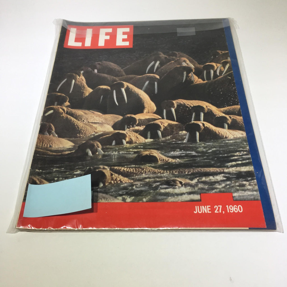 Vintage Life Magazine cover from June 27, 1960, featuring a group of walruses in the Bearing Sea of Alaska, with notable golf legend Arnold Palmer highlighted. A unique collectible reflecting 1960s wildlife and cultural narratives.