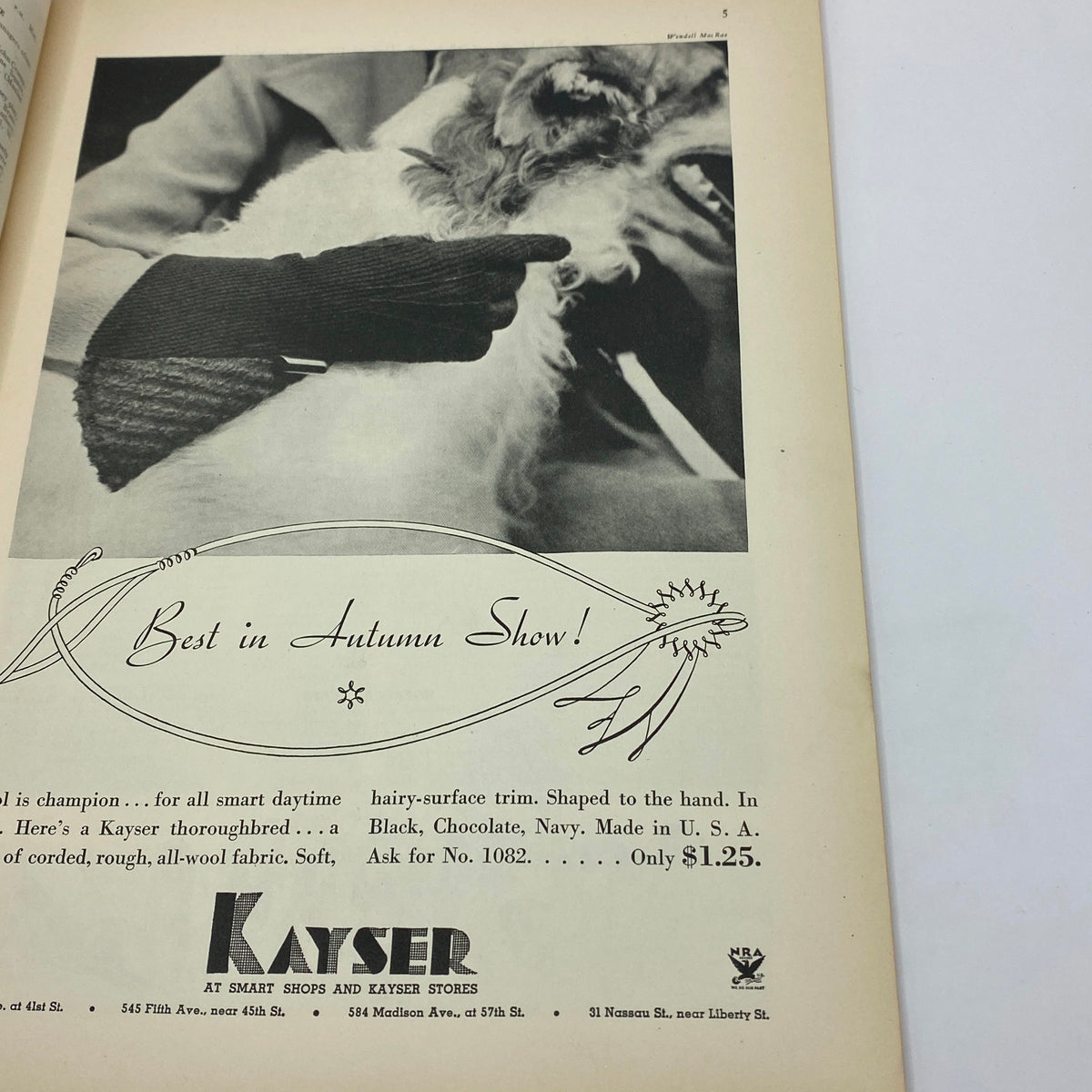 Vintage advertisement featuring a dog and a hand wearing a glove, from The New Yorker Complete Magazine October 20, 1934, by Helen E. Hokinson.