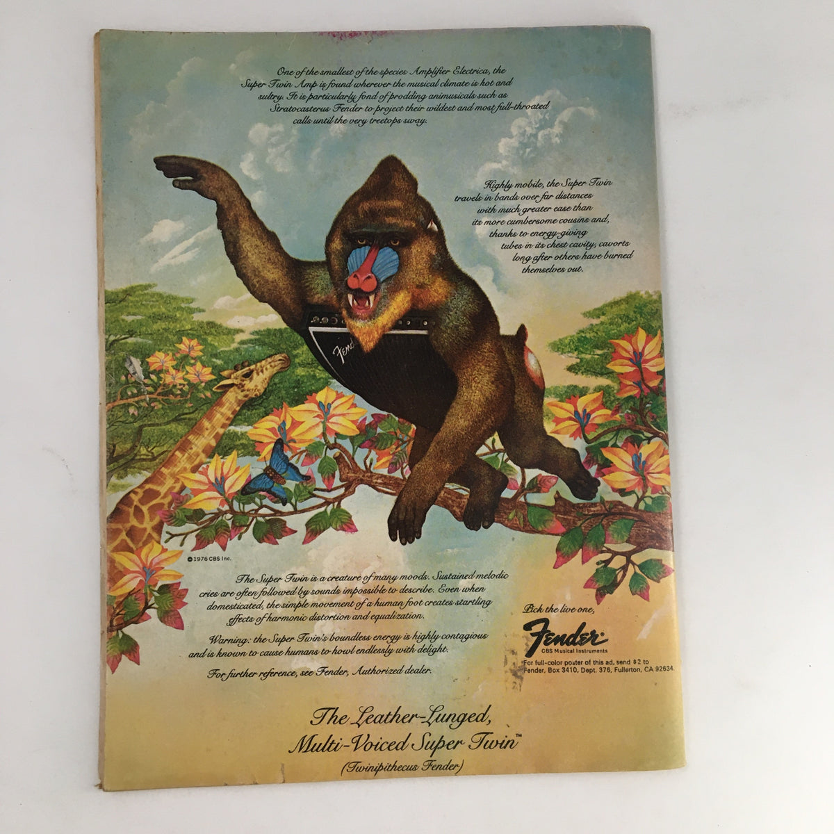Vintage advertisement for Fender Super Twin amplifier in Song Hits Magazine July 1977, showcasing a colorful illustration with a baboon.