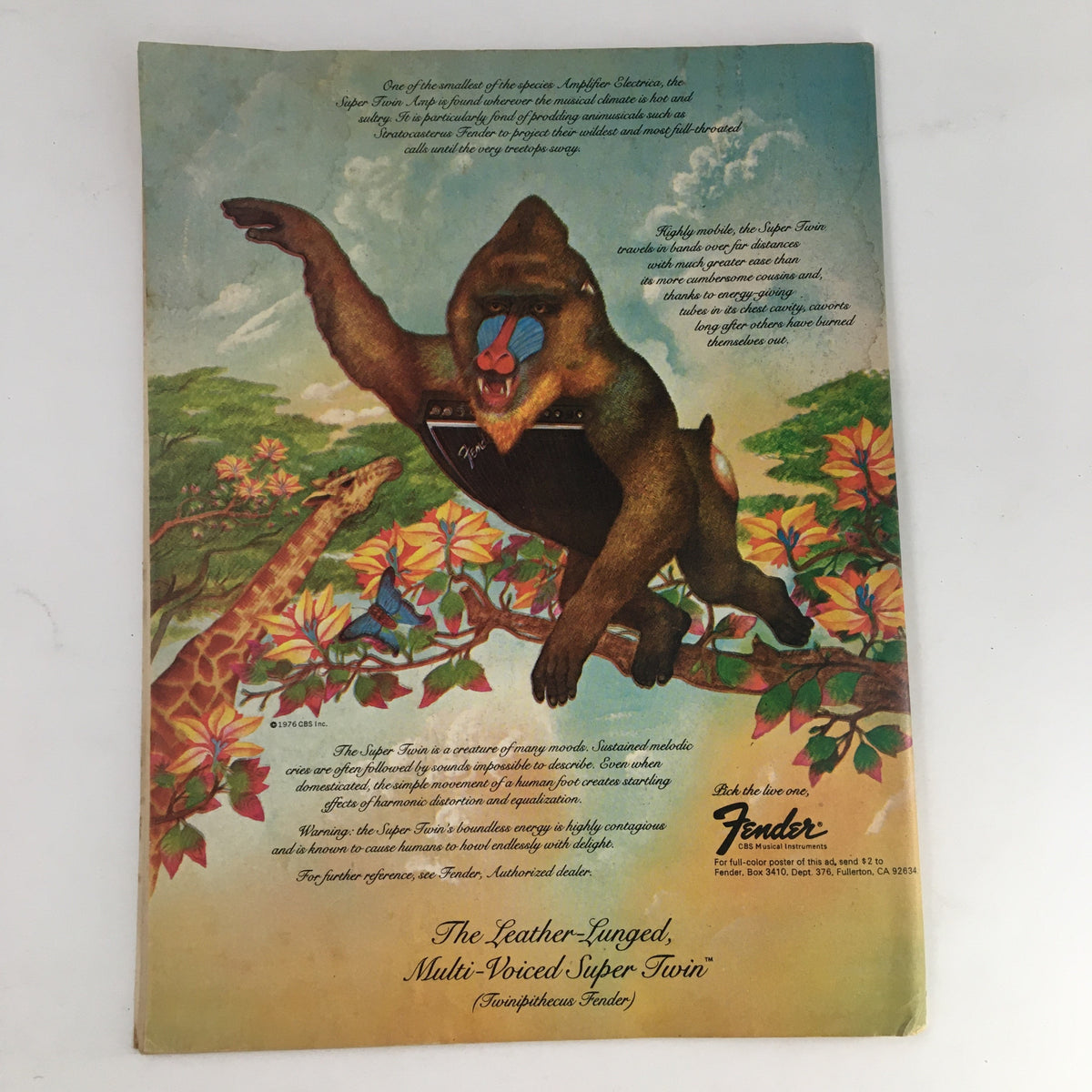 Song Hits Magazine December 1977 ad for Fender amplifiers featuring a creatively illustrated baboon with a guitar, promoting their products.