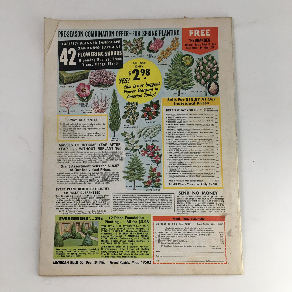 Back cover of Movie World Magazine March 1966, featuring a gardening advertisement for flowering shrubs.