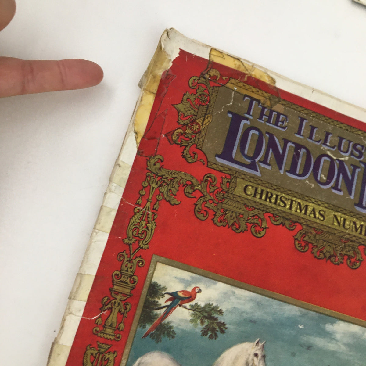 Close-up of the top corner of The Illustrated London News, November 18, 1954, showcasing detailed artwork and worn edges.