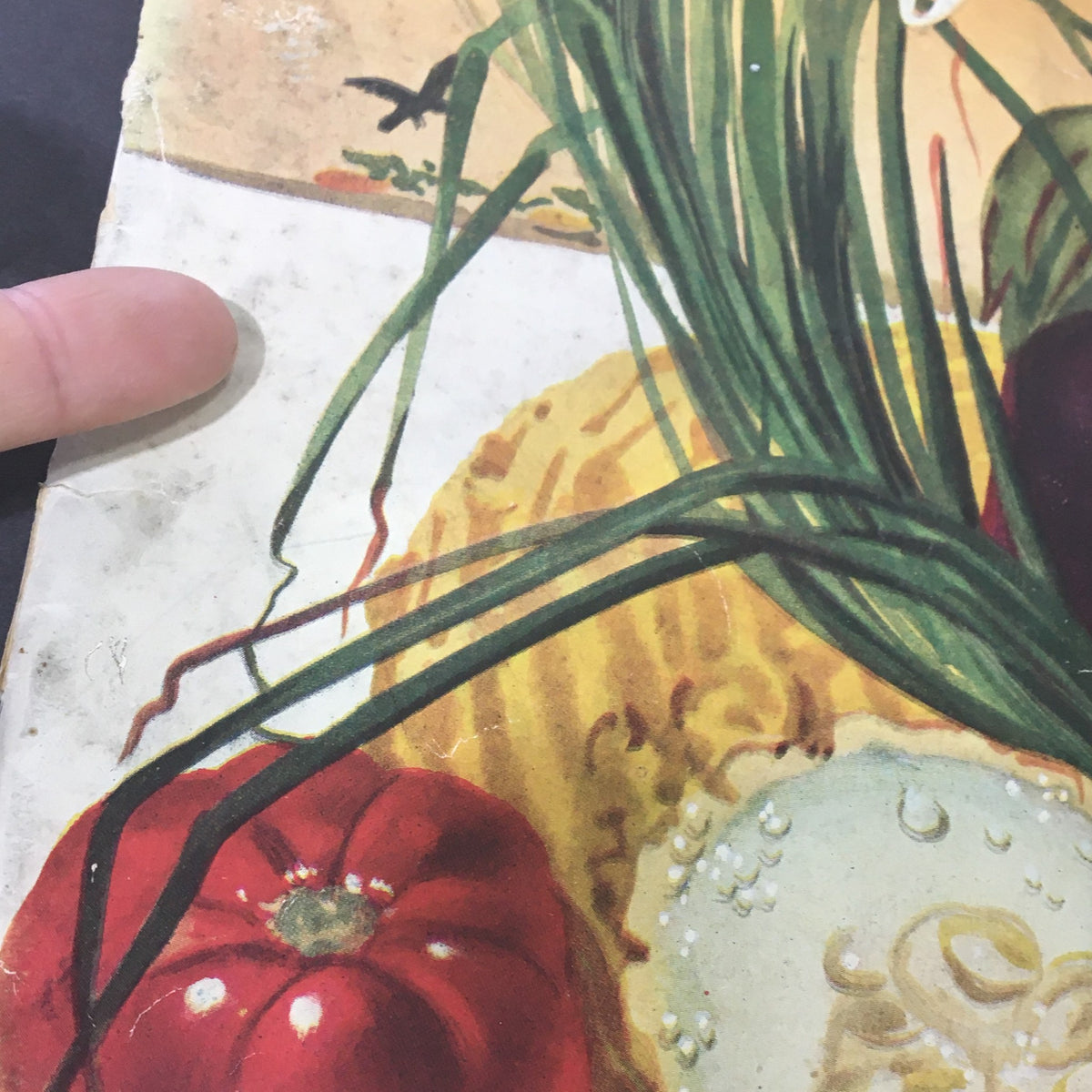 Close-up of vintage Gourmet magazine cover from September 1944 highlighting colorful vegetables and artistic details.