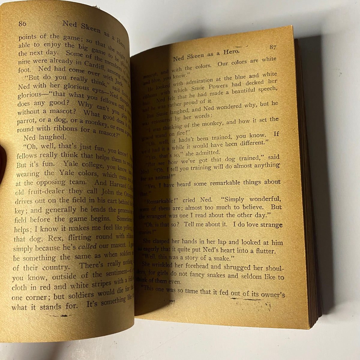 Page 87 from 'Jack Lightfoot's Hoodoo,' featuring character Ned Skeet discussing colors and their significance. Highlighting themes of camaraderie and adventure in early sports fiction.