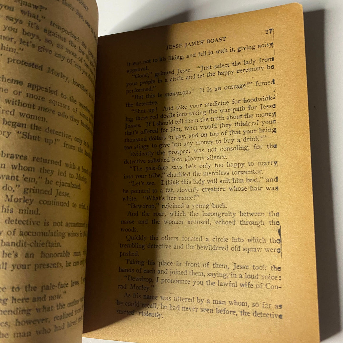 Another interior page of Jesse James' Boast or Who Killed Daniel Askew? by William Ward, showcasing a portion of the text with a typical narrative style of the era.