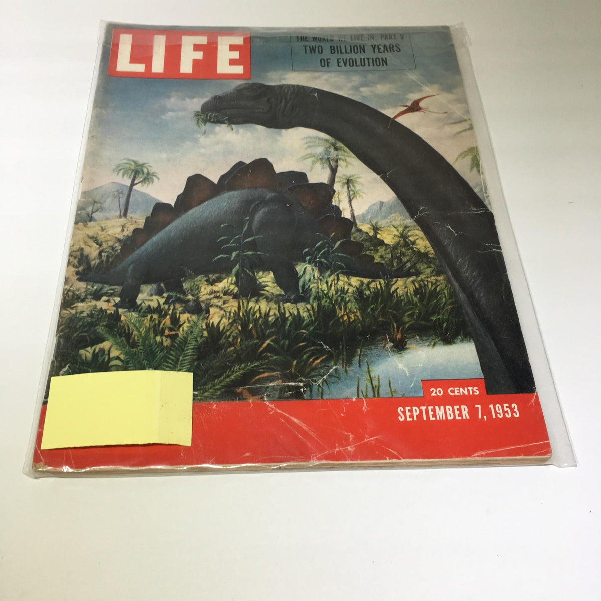VTG Life Magazine from September 7, 1953 featuring a captivating cover illustration of dinosaurs, including a Stegosaurus and Brontosaurus, showcasing the theme 'Two Billion Years of Evolution'.