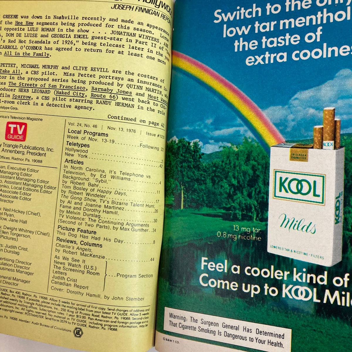 Interior view of TV Guide Magazine dated November 13, 1976, showcasing articles and advertisements, including a Kool cigarette ad and features related to Dorothy Hamill. This Youngstown-Erie edition provides a glimpse into the television culture of the 1970s.