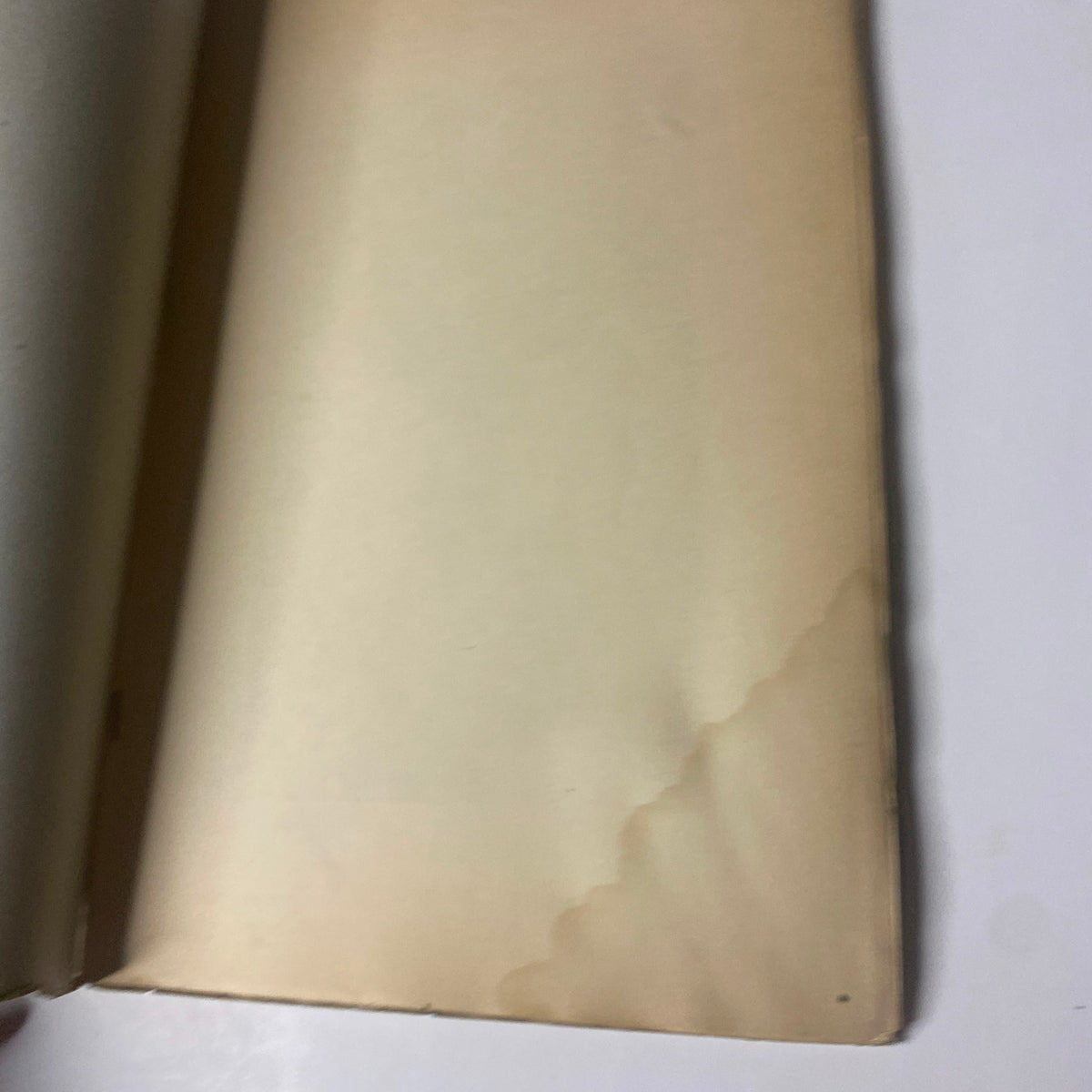 Interior page of 'Around the World with General Grant' Book by John Russell Young, Part Five, showcasing a clean, undamaged sheet with slight curvature.