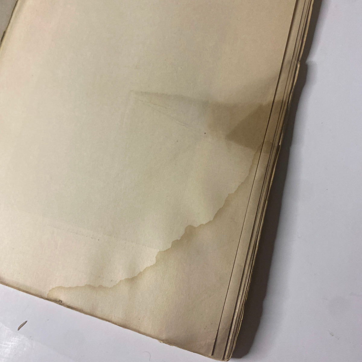 Interior page of Around the World with General Grant Book by John Russell Young, featuring a tear at the edge and a faded appearance.