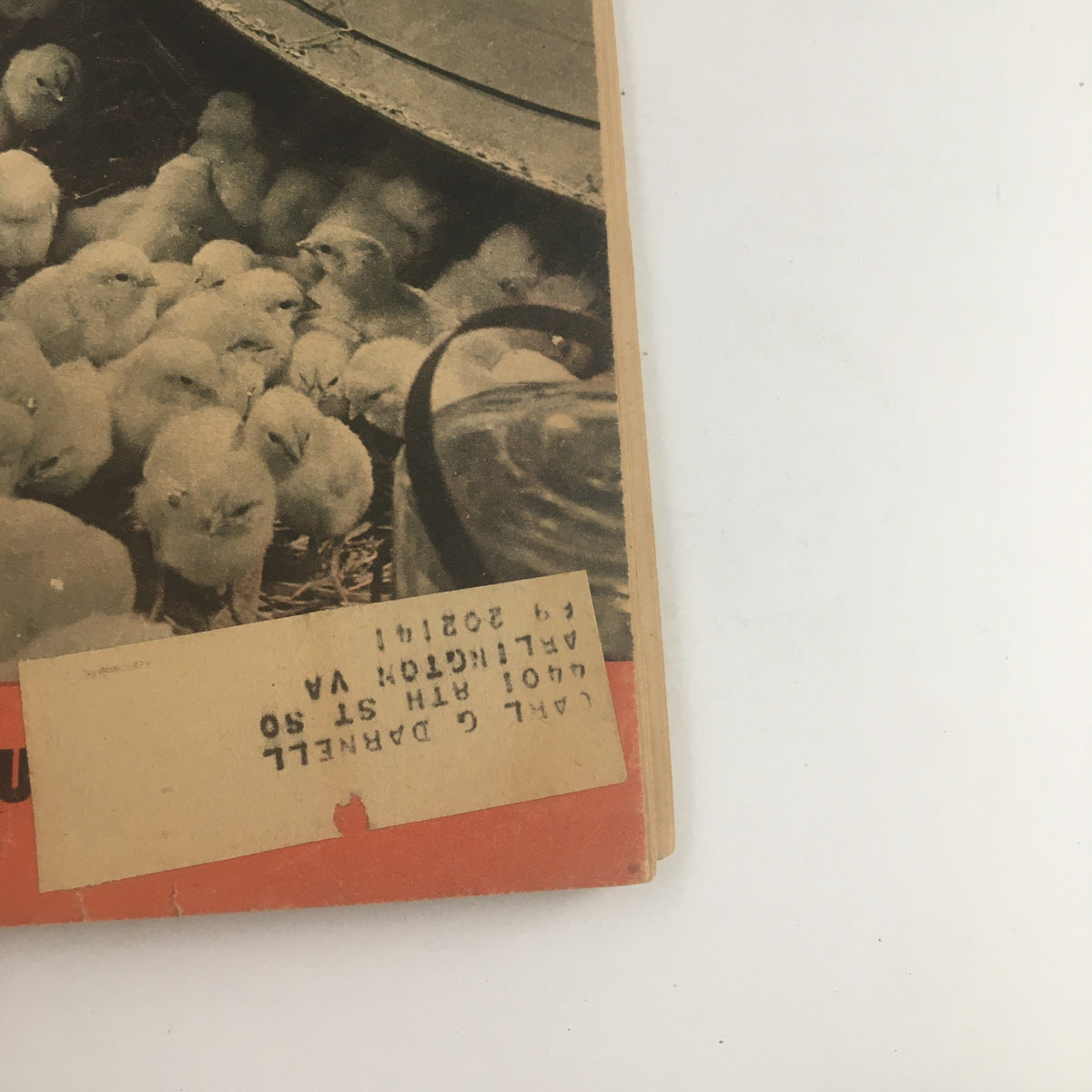 Close-up of the cover of American Poultry Journal April 1945, highlighting the address label and baby chicks, part of the magazine's historical significance.