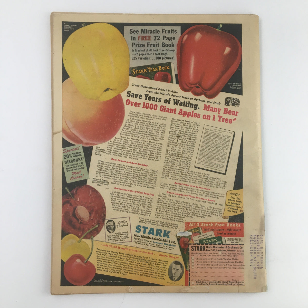 Back cover of Farm Journal Magazine from December 1945 titled 'A Peacetime Christmas Festival.' Features vintage advertisements, including fruit trees from Stark Nurseries, alongside illustrations of apples and cherries, showcasing mid-20th century marketing and design.