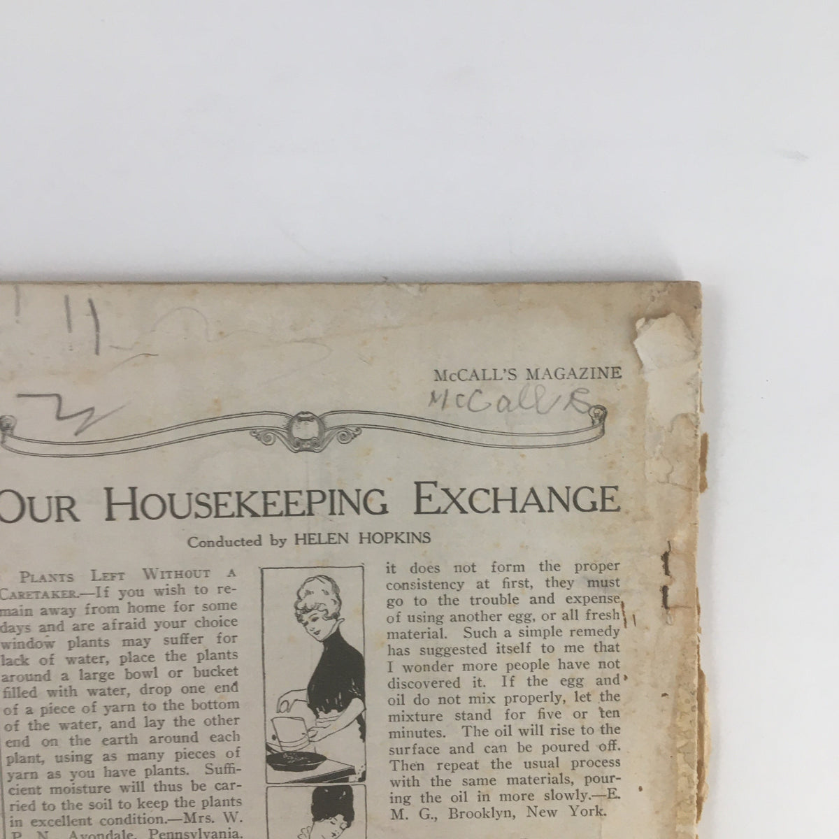 Close-up of the top corner of the back cover of McCall's Magazine March 1916, featuring the title and some wear indicative of its vintage condition.