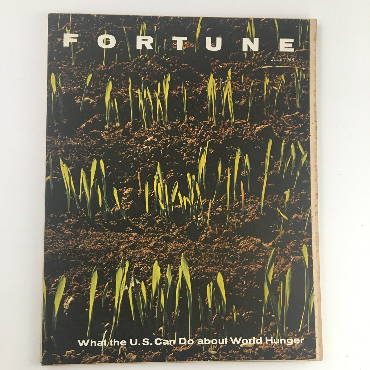 Cover of Fortune Magazine from June 1966, featuring the title 'What the U.S. Can Do About World Hunger,' showcasing green sprouts emerging from dark soil.