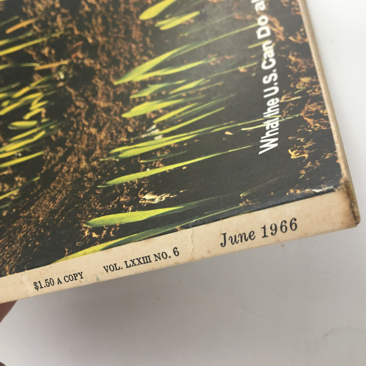 Bottom corner of the Fortune Magazine June 1966, showing the publication date and volume number, titled 'What the U.S. Can Do About World Hunger'.