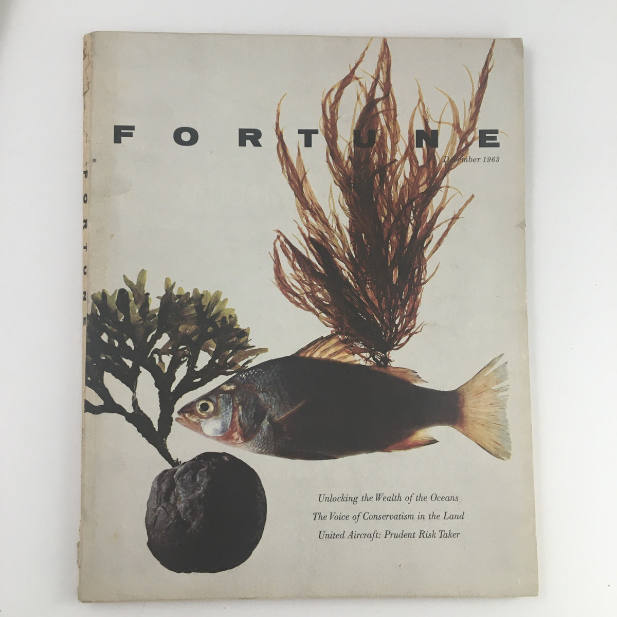 Cover of Fortune Magazine December 1963 titled 'Unlocking the Wealth of the Oceans' featuring an artistic depiction of ocean life including a fish and seaweed.