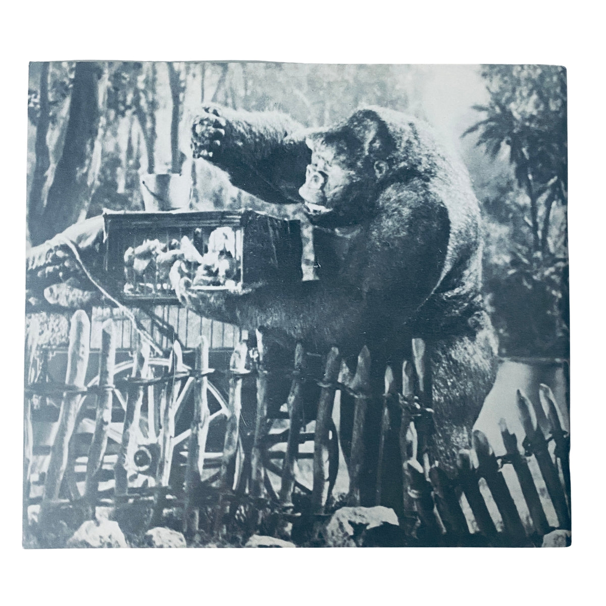 Cinefex Magazine January 1982 No. 7 depicting a scene from Mighty Joe Young, highlighting the character's playful interaction with captured figures.