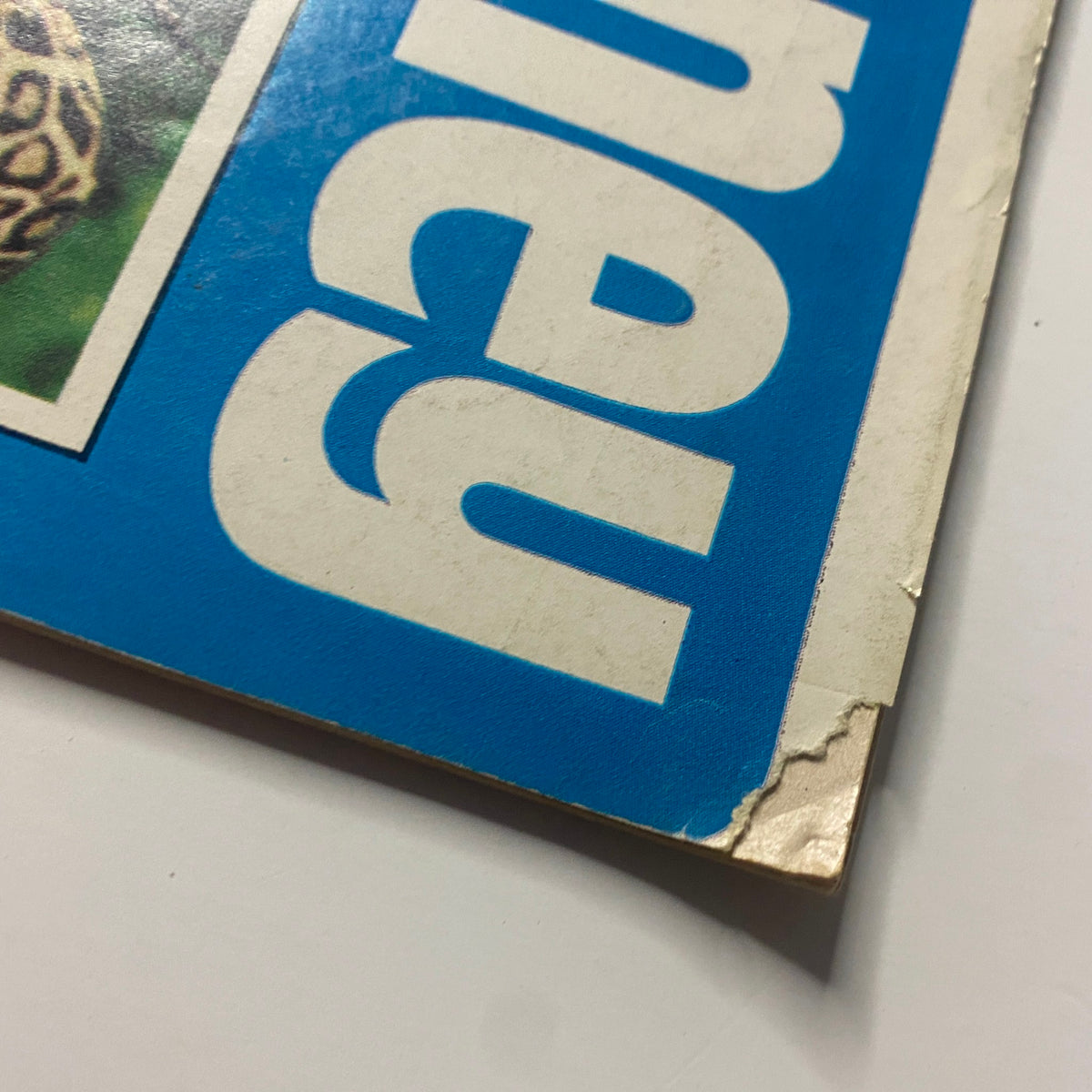 Close-up of the corner of Wonderful World of Disney Magazine 1968 showing minor wear and tear, with the magazine title visible, emphasizing its vintage condition.