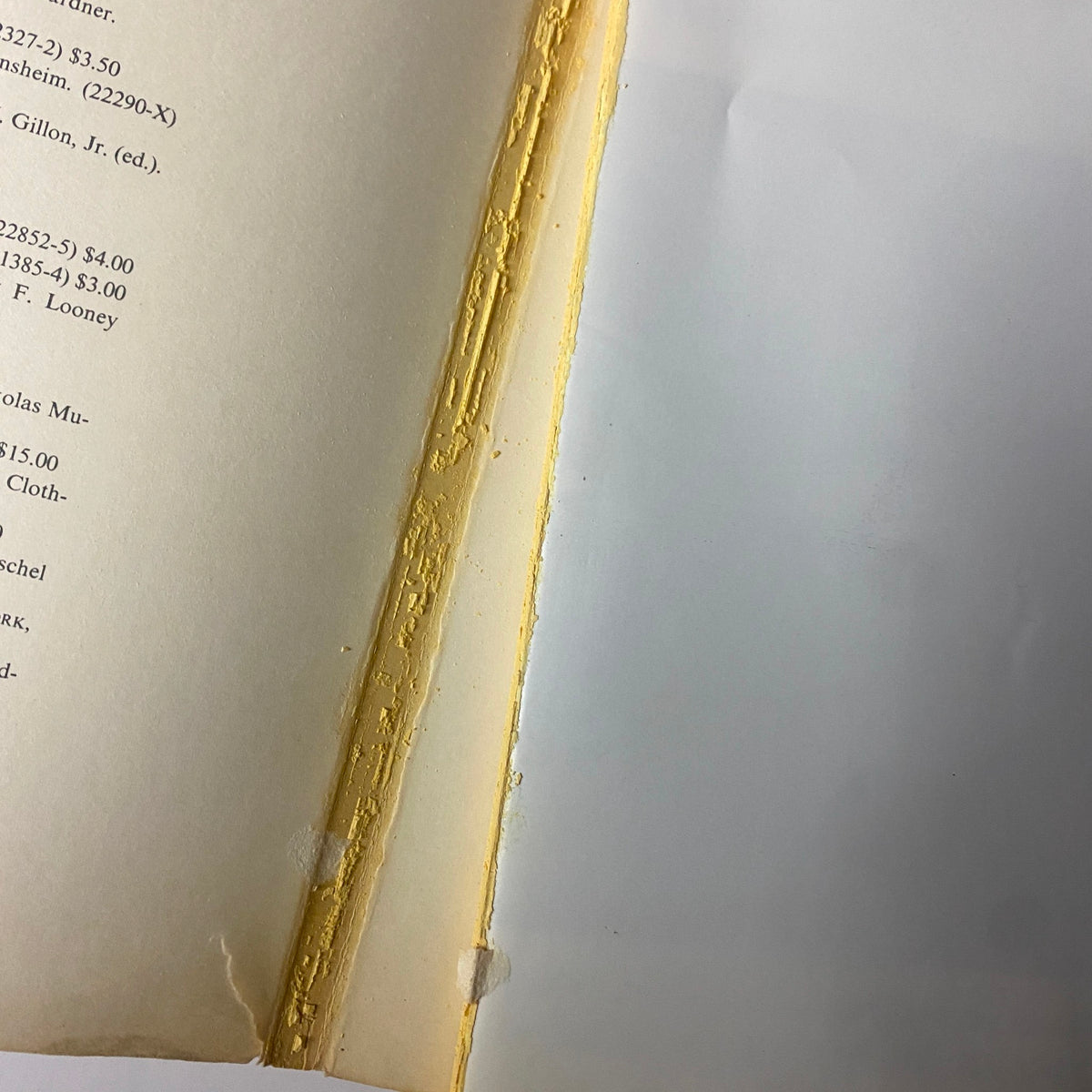 Detailed view of the spine and page edge of 'Old Brooklyn in Early Photographs 1865-1929' by William Lee Younger, depicting aging of the book.