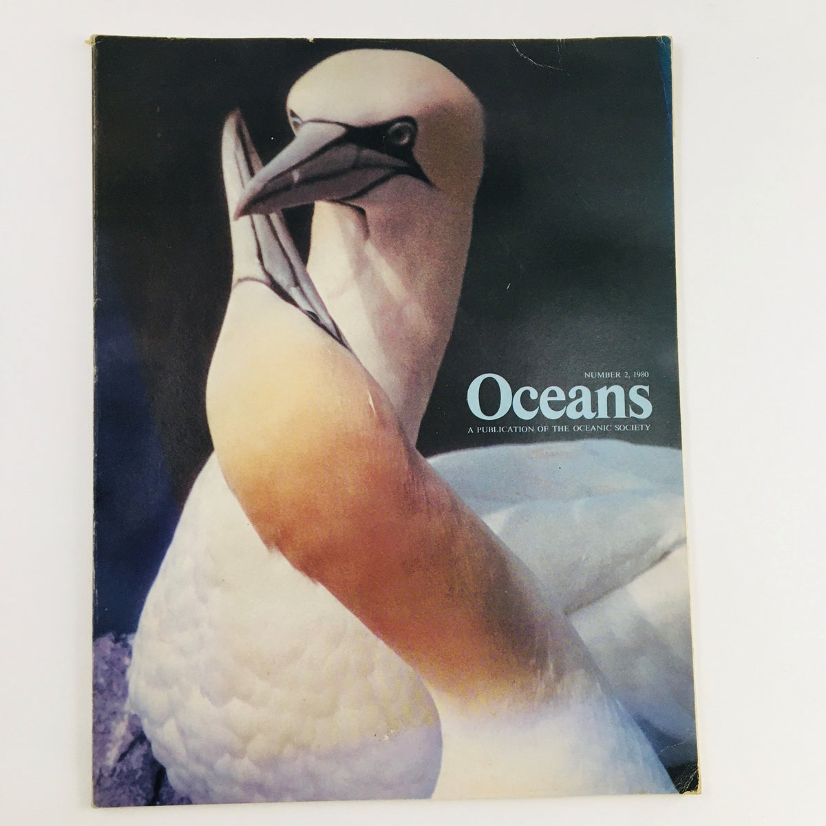 Cover of Oceans Magazine March 1980, Vol 13 No. 2 featuring Two Atlantic Gannets, highlighting marine life and wildlife conservation.