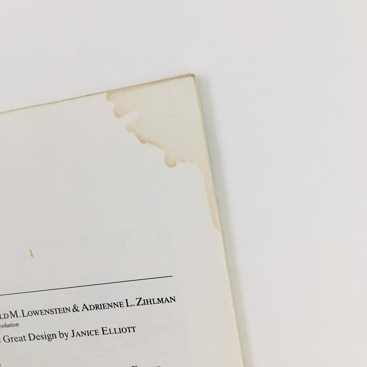 Vintage Oceans Magazine May 1980, Vol 13 No. 3 showing a close-up of the edge with minor wear and a light water stain, ideal for collectors of marine wildlife literature.