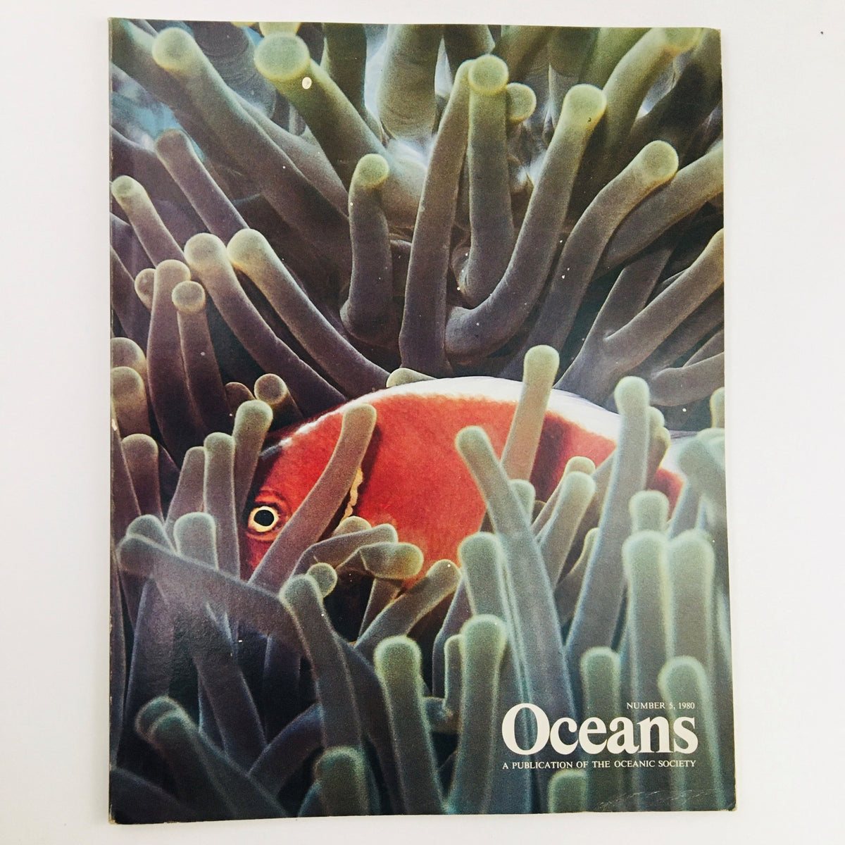 Cover of Oceans Magazine September 1980 Vol. 13 No. 5 featuring a clownfish nestled among anemones, showcasing vibrant marine life.