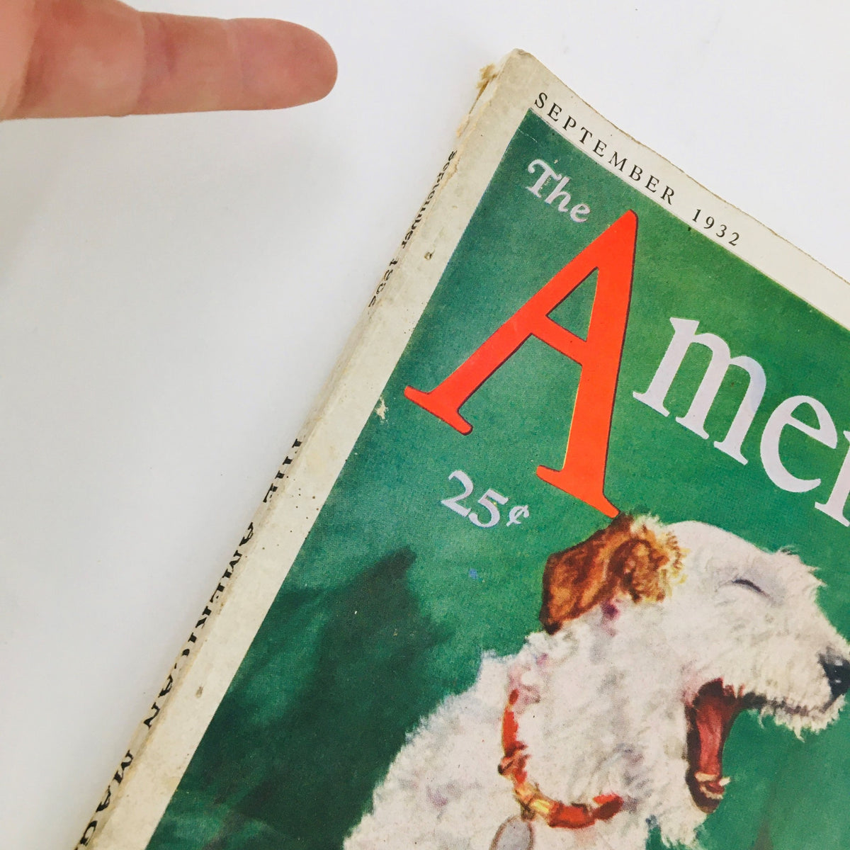 Close-up view of The American Magazine September 1932 cover, showcasing the magazine title and the image of a dog.