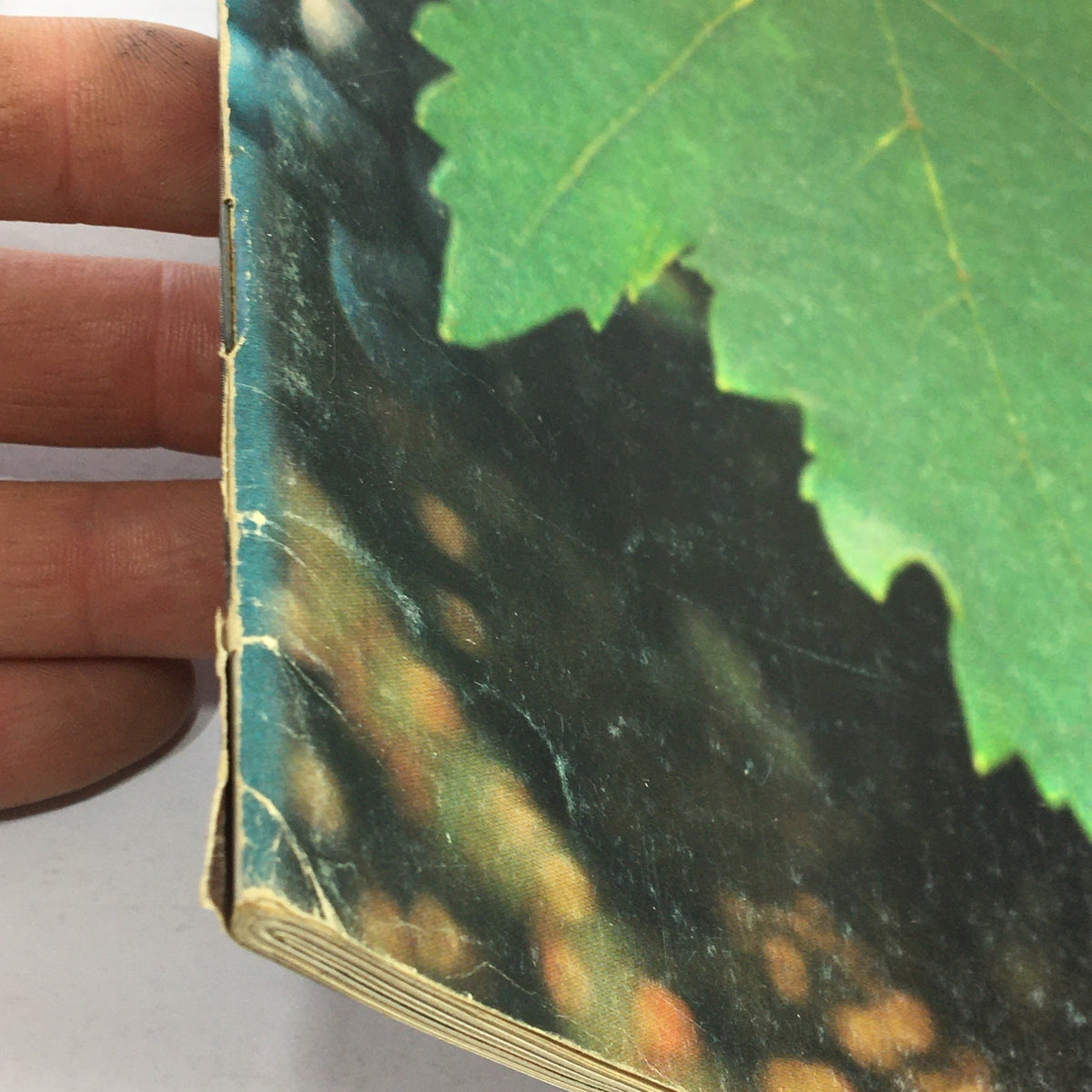 Side view of the spine of VTG Gourmet The Magazine of Good Living October 1969, highlighting minor wear and tear, reflecting its vintage authenticity.