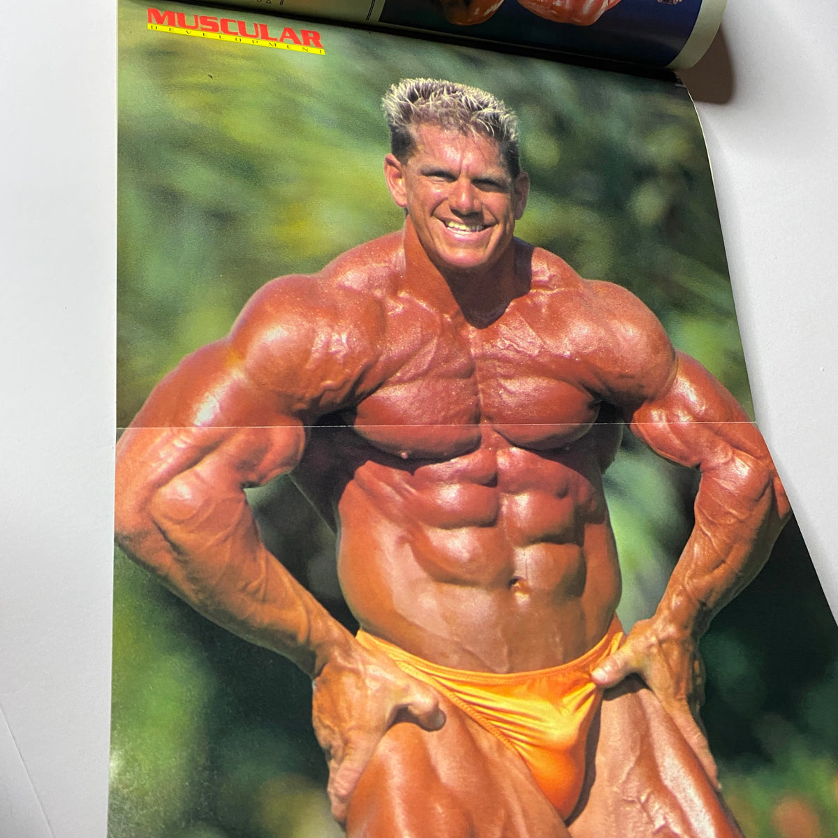 Foldout centerfold poster from Muscular Development Magazine February 1990 featuring Troy Zuccolotto posing in an orange posing trunk against a natural backdrop, emphasizing his impressive physique.