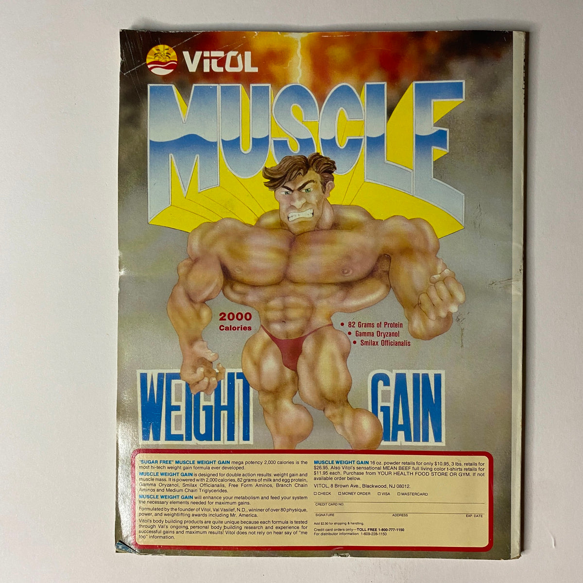 Muscular Development Magazine February 1990 featuring Troy Zuccolotto on the cover, showcasing bodybuilding content and a centerfold poster, presented in very good condition.