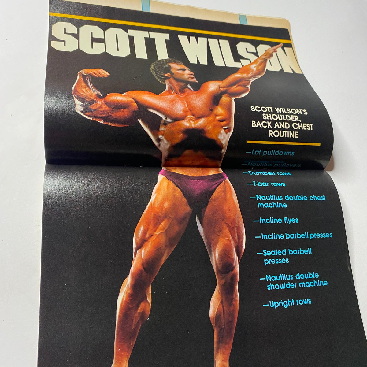 Centerfold image of Scott Wilson from Muscular Development Magazine, showcasing his shoulder, back, and chest workout routine with detailed exercises.
