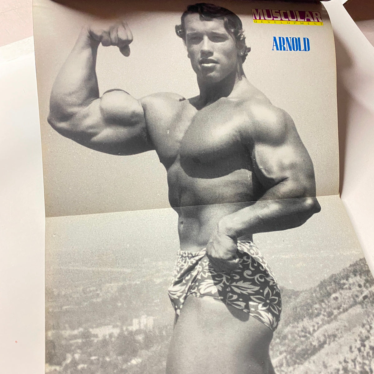 Special Arnold Schwarzenegger poster from Muscular Development Magazine July 1990, presenting Arnold in a classic bodybuilding pose.