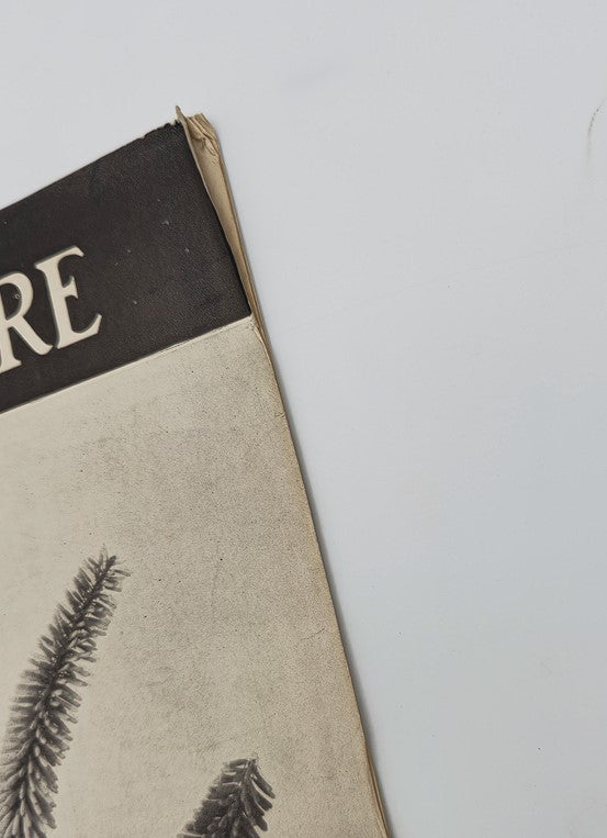 Cover edge of VTG Horticulture Magazine August 1 1937 showcasing Miniature Tritomas, highlighting its vintage design and charm.