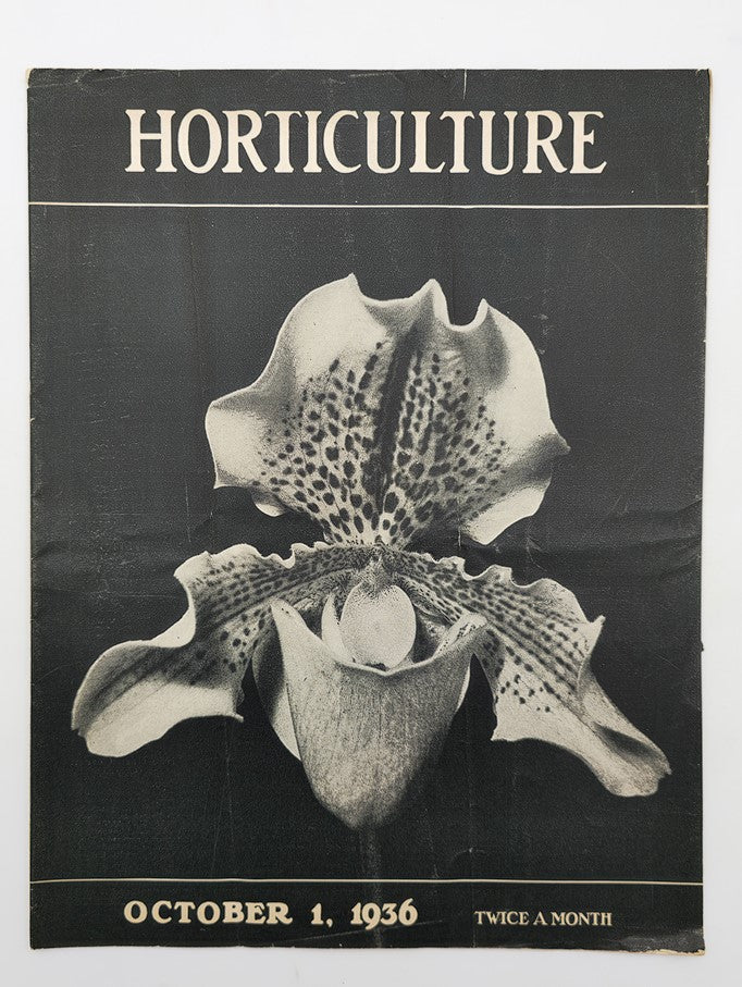 Cover of the VTG Horticulture Magazine from October 1, 1936 featuring the Cypripedium Chrysostom flower, showcasing vintage horticultural design.