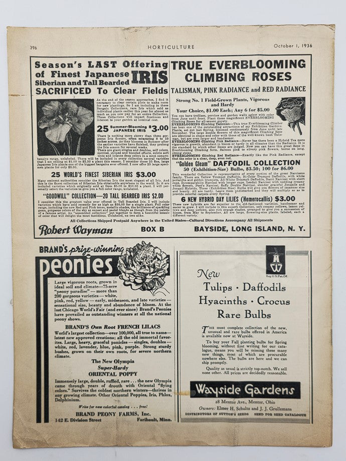Image of VTG Horticulture Magazine from October 1, 1936, displaying advertisements for seasonal gardening products including Japanese Iris, climbing roses, and a daffodil collection.